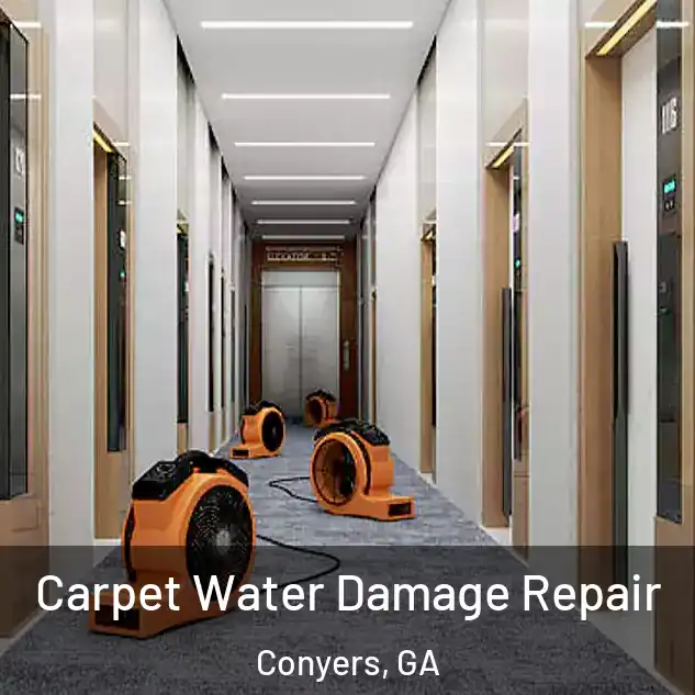  Carpet Water Damage Repair Conyers, GA