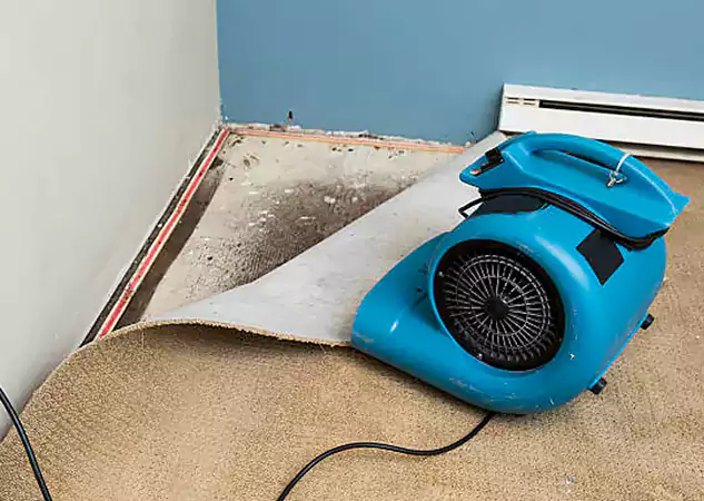 Your Water Damage Experts in Conyers, GA
