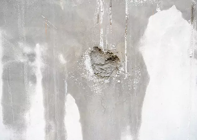 Your Mold Mitigation Solutions Partner in Conyers, GA