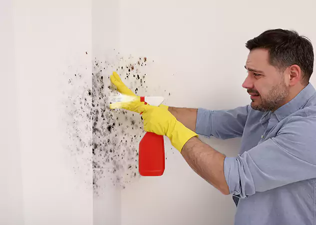 Your Water Mold Fire Restoration Partner in Conyers, GA