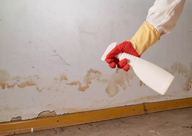 Your Water Restoration and Mold Remediation Specialists in Conyers, GA