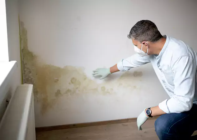 Reach Our Remediation Team Before Damage Grows in Conyers, GA!