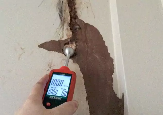 Your Water Damage Assessment Partner in Conyers, GA