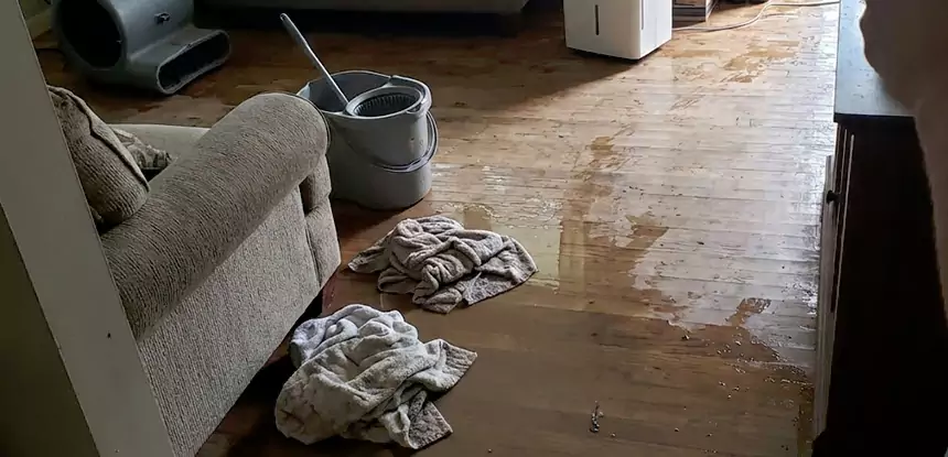 Professional Basement Water Remediation Services in Conyers, GA