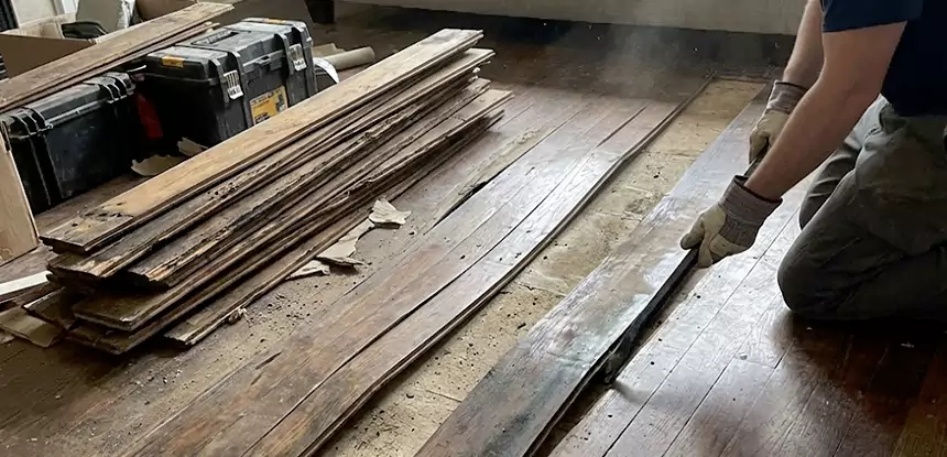 Wood Rot and Fungus Repair in Conyers