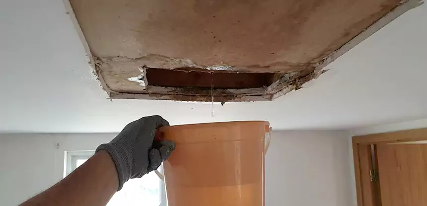 Ceiling Mold Repair Conyers 