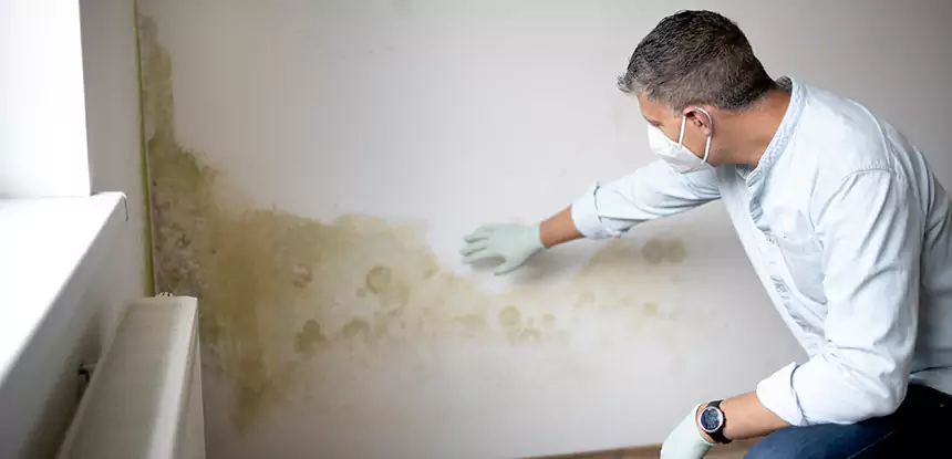 Mold and Water Damage Repair in Conyers