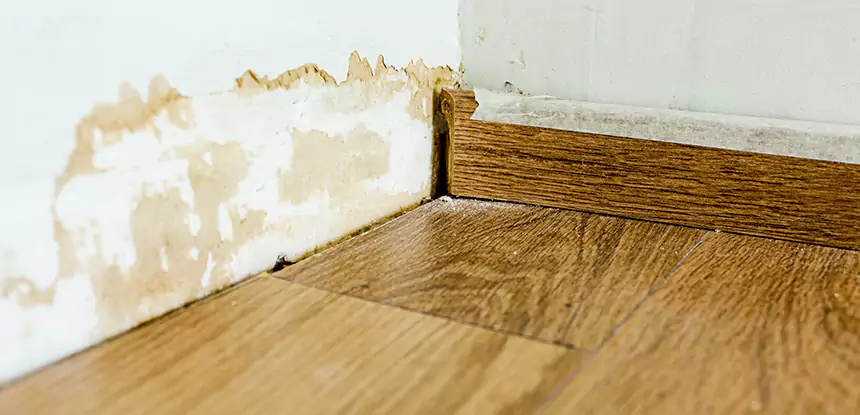 Professional Fix Water Damaged Wood Services in Conyers, GA