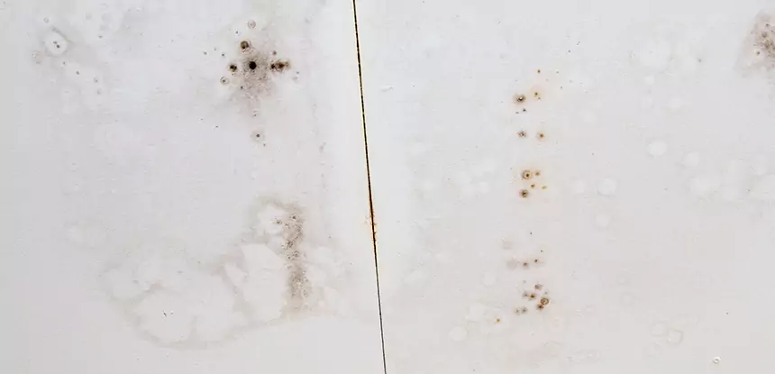 Professional Water Stain Repair Services in Conyers, GA