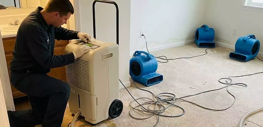 Professional Wet Carpet Removal Services in Conyers, GA