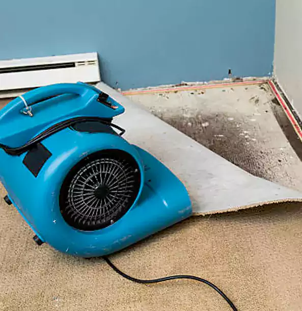 Why Conyers Trusts Conyers Restoration Pro for Carpet Flood Recovery?