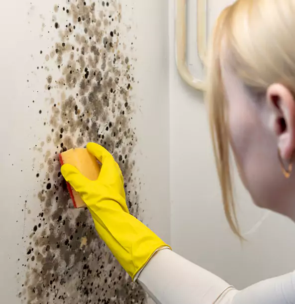 Why Conyers Restoration Pro Leads Mold Remediation in Conyers?
