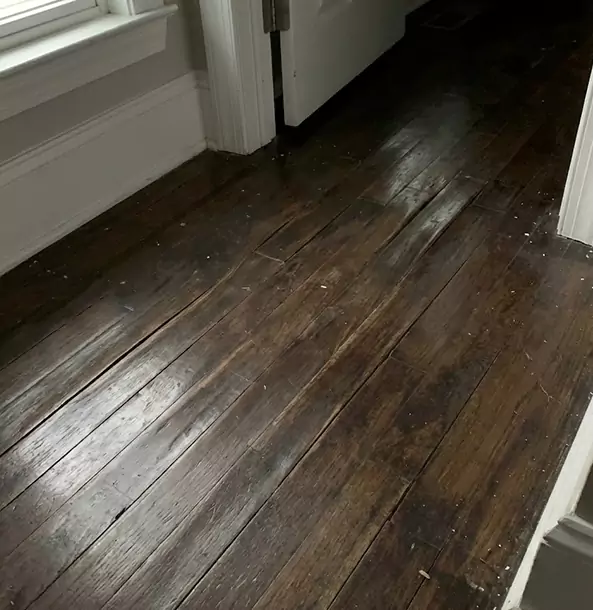 Why Conyers Homeowners Trust Conyers Restoration Pro to Fix Water Damaged Wood?