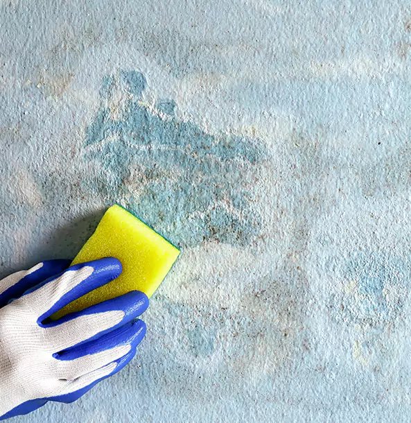 Why Conyers Restoration Pro Is the Right Choice in Conyers, GA?