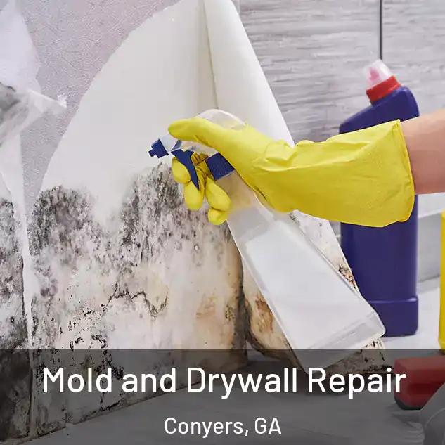 Mold and Drywall Repair Conyers, GA