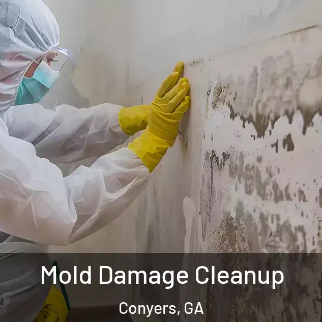  Mold Damage Cleanup Conyers, GA