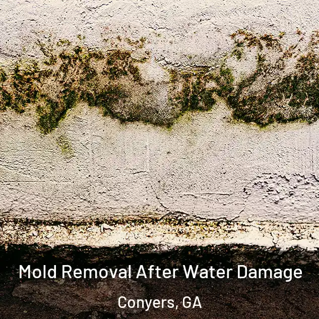  Mold Removal After Water Damage Conyers, GA