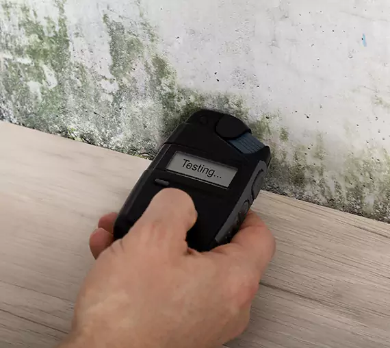 Mold Remediation Service Conyers