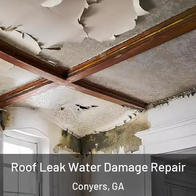 Roof Leak Water Damage Repair Conyers, GA