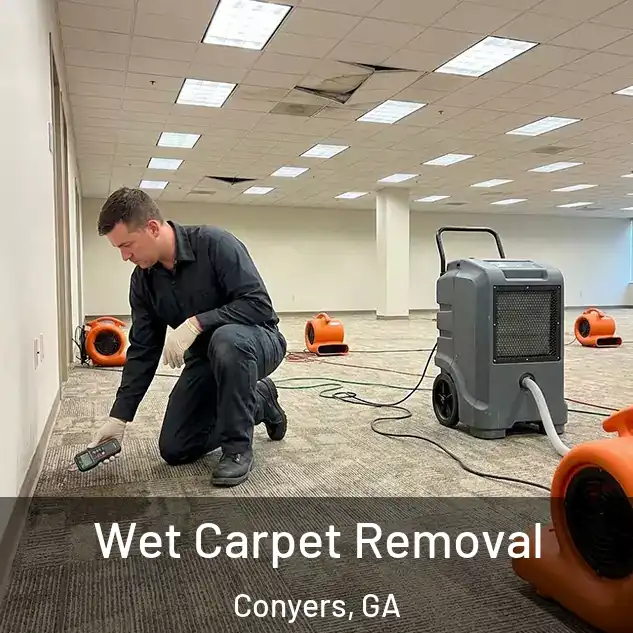  Wet Carpet Removal Conyers, GA